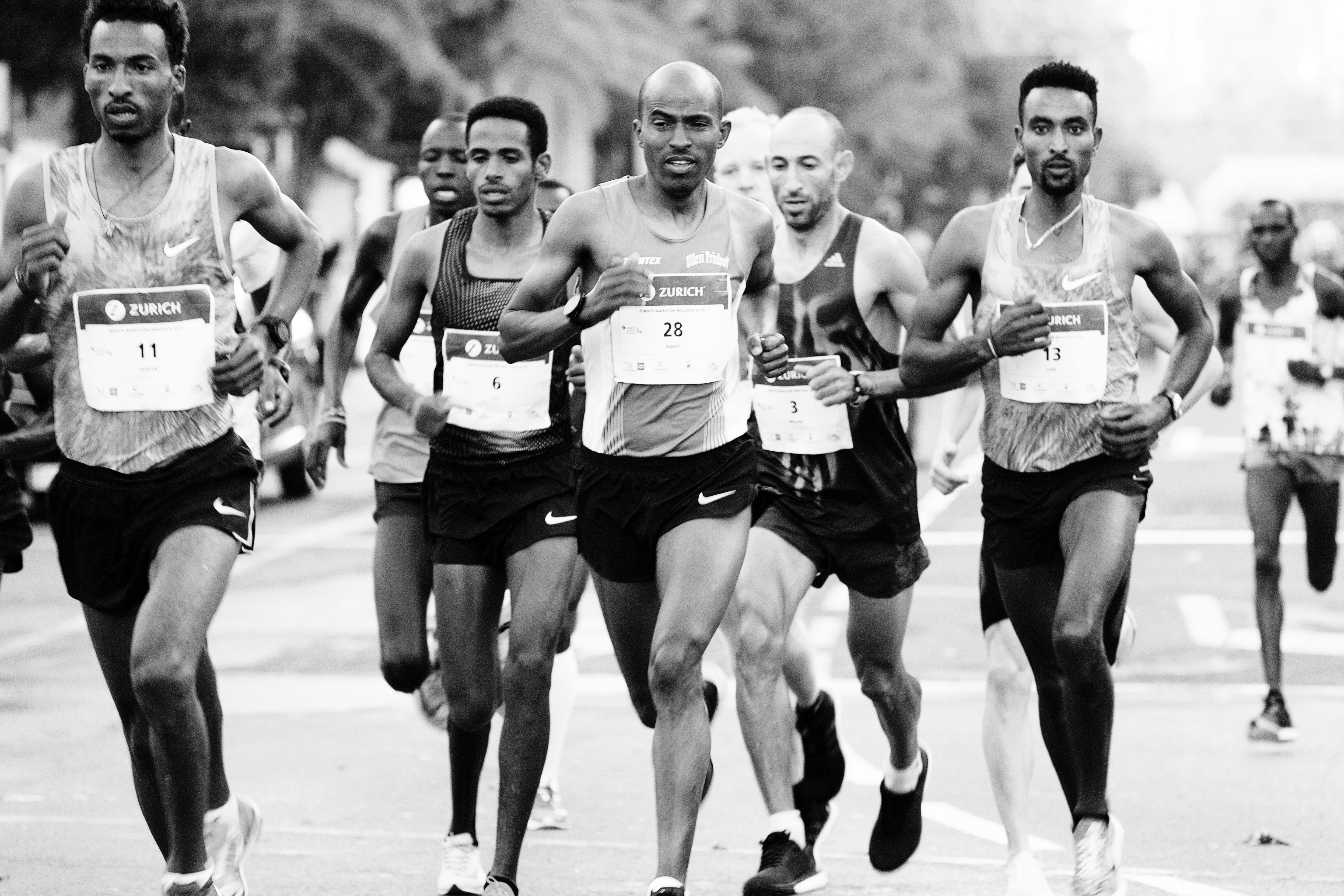 Cabeza de carrera de la VIII Maratón de Málaga, recién dada la salida en el Paseo del Parque.